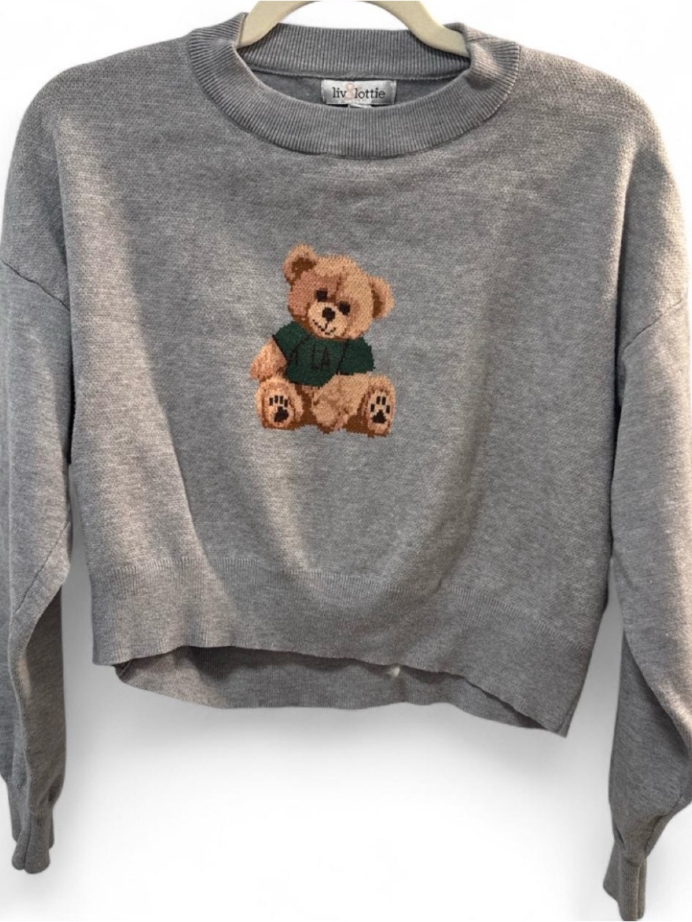 Gray Teddy Knit Crop Pullover Sweater